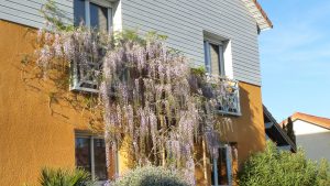 La Bonne Maison - Maison provençale + piscine